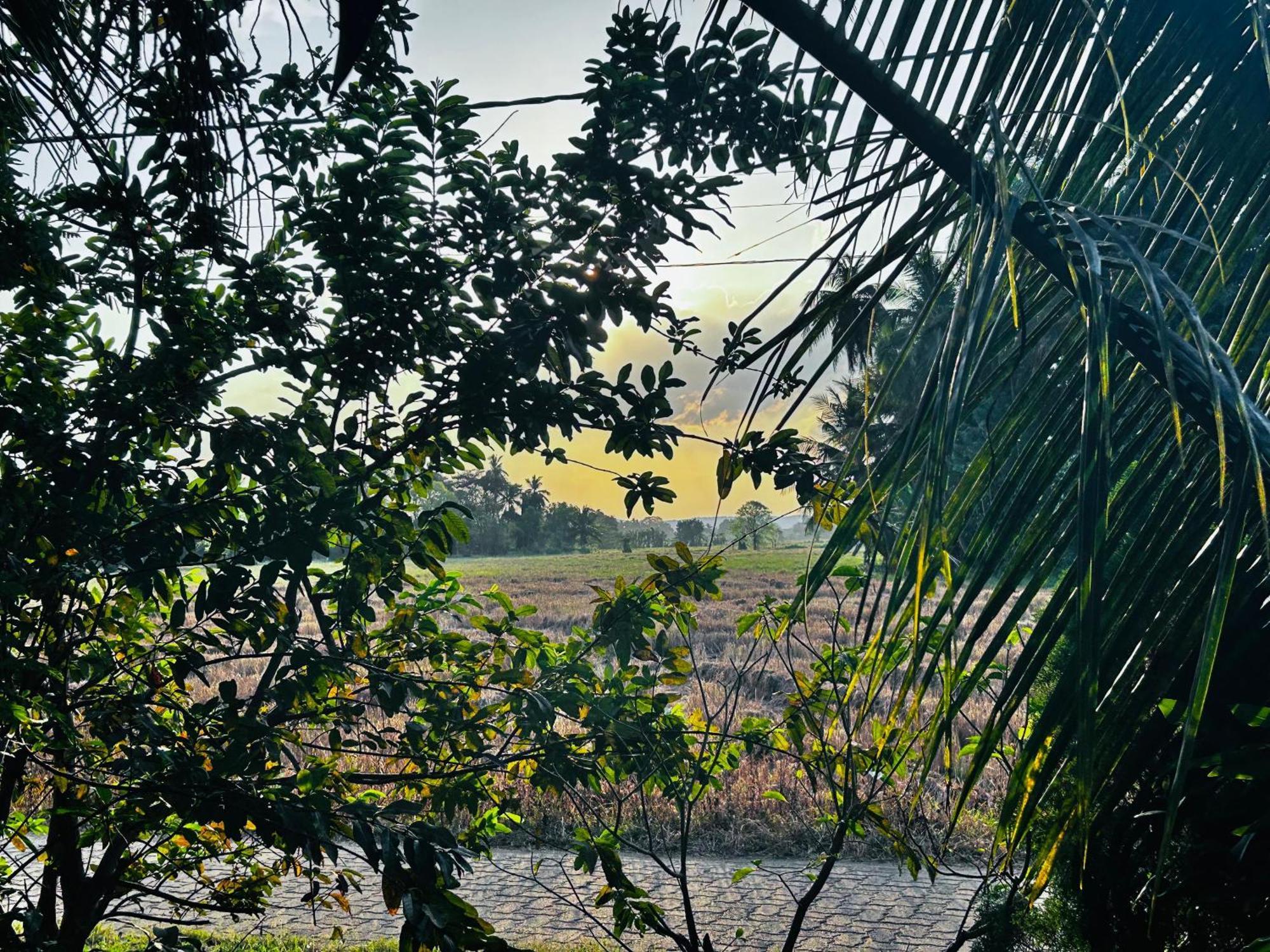 Windy Villa Polonnaruwa Exteriör bild