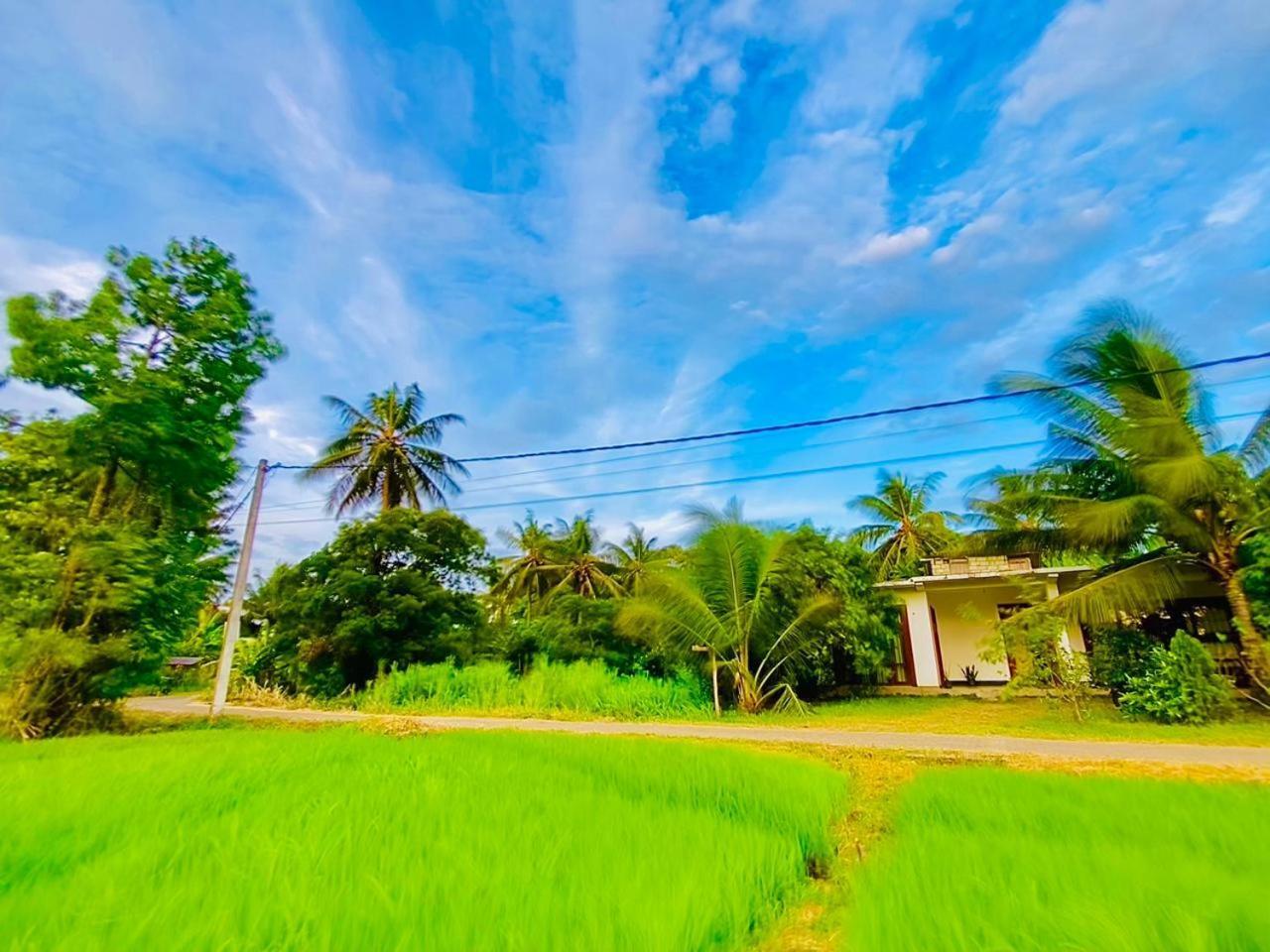 Windy Villa Polonnaruwa Exteriör bild